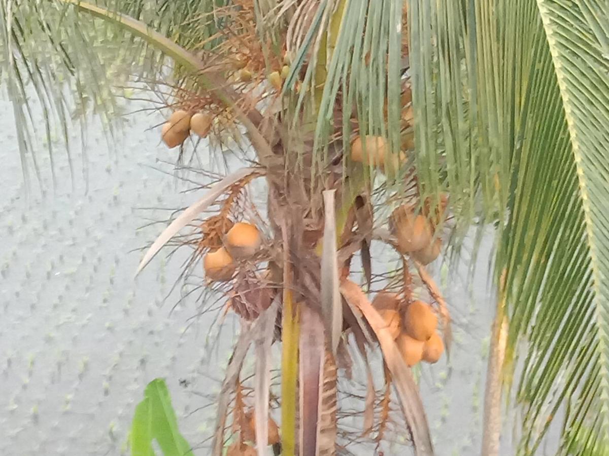 Pondok Diana Arta Jasri Luaran gambar